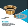 EZ-FLO 2 Inch IPS No Caulk Brass Shower Drain, Stainless