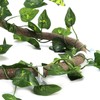 Reptile Climbing Branch Flexible Jungle 3.28ft Rattan 1Pc Vine(3.28ft Rattan+Scindapsus