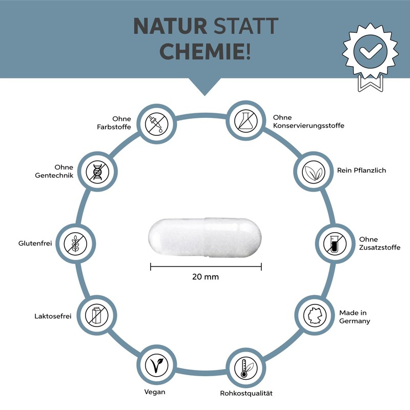 Magnesiumcitrat Kapseln 500 Stück | Hochdosiert 300mg Tagesdosis elementares Magnesium