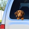 2pcs Dachshund Vinyl Decal 5.12"x5.12", Playful Sausage Dog Sticker for