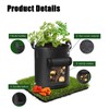3Pack Potato Grow Bags, Garden Planting Bag with Reinforced Handle,