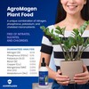 AgroMagen Plant Food with Essential Nutrients & Chelated Micronutrients, Liquid