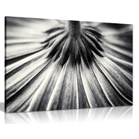 Panther Print Fine Art Prints Black & White Backside Flower Close Up Artistic Framed Canvas Print, Pictures for Home Walls, Bedroom, Living Room & Bathroom Decor 31x20cm (12x8in)