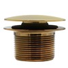 Westbrass D593PRK-01 Plumber's Pack Bath Waste Assembly with Tip-Toe Drain