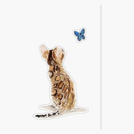 Bengal Cat & Butterfly Bumper Sticker Vinyl Decal 5"