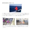 Sunline Saltimate FC 98.4 ft (30 m), 80LB (No. 22),