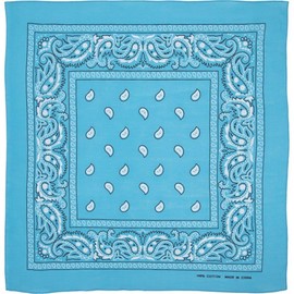 Turquoise Paisley Bandana - Single Piece 22x22