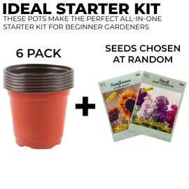 4.5 Inch Plastic Nursery Pots + 2 Random Flower Seed Packs – Disposable Planter Pots with Drainage & 2 Variety Flower Seed Packs – Ideal for Seed Starting, Transplants & Small Plants (6)