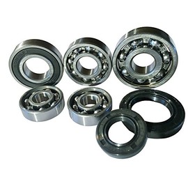 Complete Set Gear Bearings + Seal Rings GY6 139QMA/QMBBaotian Smart Rider Sprint Speedy Ecobike Eagle Retro Warrior Rebel Hero Rocky Tanco Big Panther Landflyer Victoria Classico