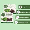 Peppermint Incense Cones - Total 60 Cone Incense - Six