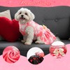 Vehomy 2-Pack Valentine's Day Dog Cat Dress Love Heart Dog