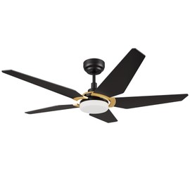 Carro 52" Low Profile Ceiling Fan with Lights, Reversible 10 Speeds Ceiling Fan, 3 Light Colors Dimmable Flush Mount DC Black, for Bedroom, Living room