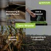 BIOFUTURE Biodegradable Coffee Cups - Disposable Paper Cups with Lids