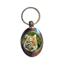 DottsMusic Tiger - Photo Design on Shopping Trolley Keyring - Token (£1 Coin)
