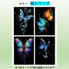 KAMIHO Scratch Art Scratch Art Adult Art Scratch (Butterfly Series)