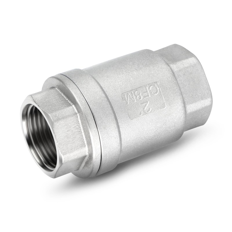 TAISHER 1PCS 304 Stainless Steel 2" Female Vertical Check Valve，Backflow