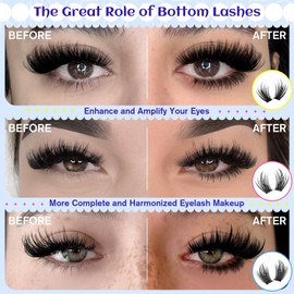 Spiky Bottom Lashes Individual Thick Volume Bottom Lash Clusters Manga Lower Eyelash Extensions 6-8MM Wispy Bottom Cluster Lashes 240pcs DIY Bottom Lash Extension at Home by calphdiar