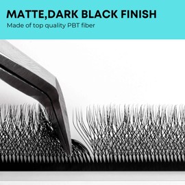 LAREALSH W Shape Eyelash Extension 5D Premade Volume Fans 0.07 C D Cluster W Fans Lashes 9-15mm W Lashes Easy Application Matte Black Volume Premade False Eyelashes (5D W 0.07 D, 14mm)