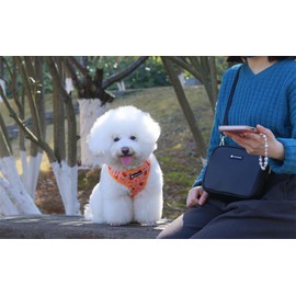 Dog Harness and Leash Set, Adjustable Dog Harness, Dog Leash, No Pull No Choke Puppy Harnesses for Walking Training for Small, Medium, Large Pet