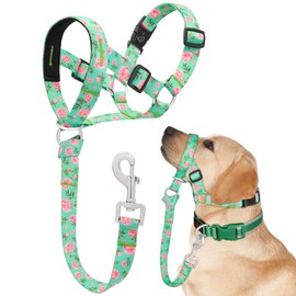 Ezierfy Dog Head Collar, Printed No-Pull Headcollar, Adjustable Dog Head Halter Gentle Lead with Safety Link, 3 Colors Muzzle Leash for Small Medium Large X-Large Dogs Easy Walks (Medium, Peony)