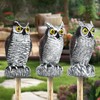Hutisyoe 3-Pack Realistic Owl Statues for Outdoor Decor – Garden,