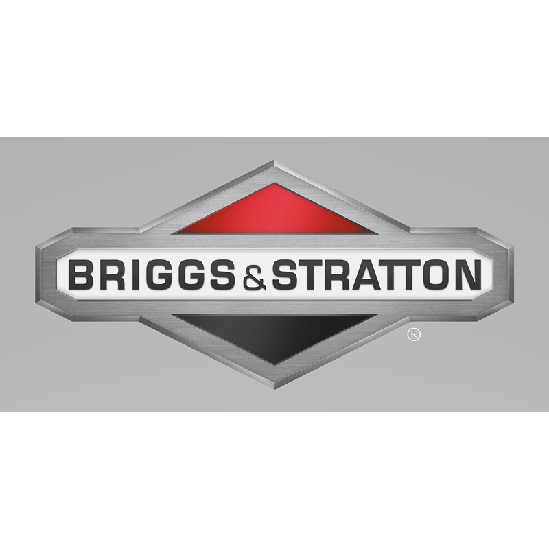 Briggs & Stratton 595318 Carburetor