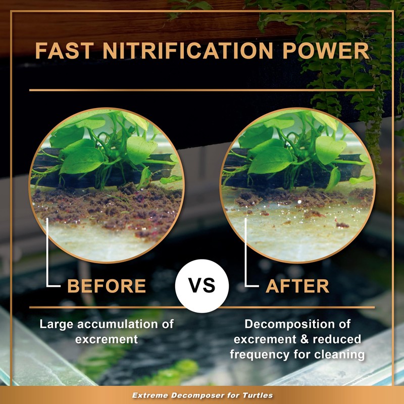 AZOOPLUS BIO XD Extreme Decomposer Nitrifying Bacteria for Turtle Tank