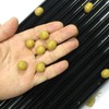 Bait Rolling Plate ABS Plastic Black Portable Lightweigh Fishing Bait