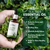 Aravi Organic Tea Tree Essential Oil - 15 ml |