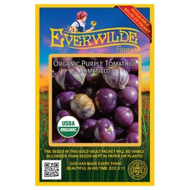 Everwilde Farms - 25 Organic Purple Tomatillo Tomatillo Seeds - Gold Vault Packet