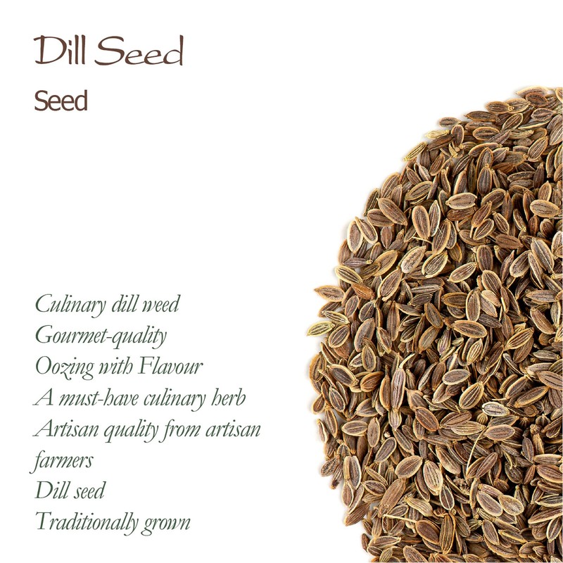 Dill Seeds Organic Spice Fresh - Perfect for Cooking -