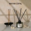 Craft & Kin Reed Diffuser Set Mayan Copal, Reed Diffusers