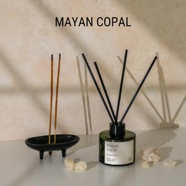 Craft & Kin Reed Diffuser Set Mayan Copal, Reed Diffusers for Home, Fragrance Diffuser Sticks, Oil Diffuser Sticks, Oil Diffuser with Sticks, Reed Diffuser for Men | Christmas Reed Diffuser