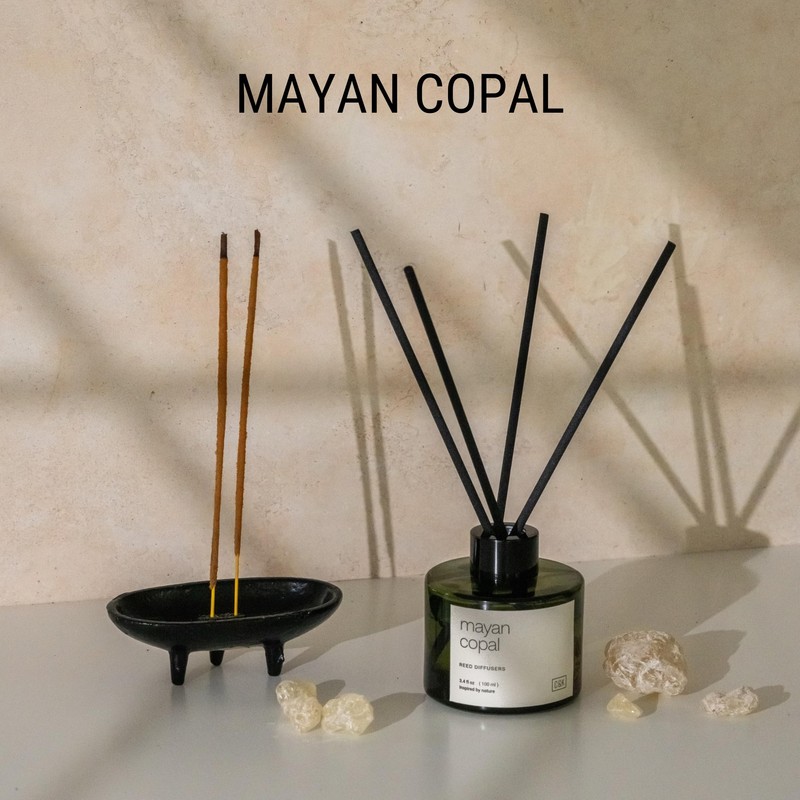 Craft & Kin Reed Diffuser Set Mayan Copal, Reed Diffusers