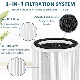 HOAXCINN Replacement Filter Compatible With ECOSELF HAP604 Air Purifiers, 3-In-1 Air Filter, H13 Efficiency Activated Carbon Filtration Hepa, 2-Pack
