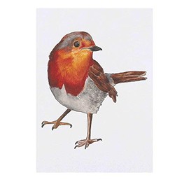 Large 'Robin' Temporary Tattoo (TO00037998)