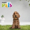 Fancy Pets Collar Galería Color Mix Tamaño Mediano para Perro