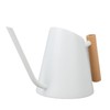 Watering Can with Long Spout 800ml Stainless Steel Matte Indoor