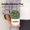 Loovelo Allegedly Lawyer Gifts Ceramic Succulent Plant Pot with Bamboo