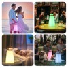GGII LED Outdoor Lamp with Remote Control Portable
