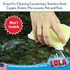 Lola 461 Nylon Net and Sponge Cleaning Pad, 12-Pack