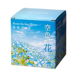 Seishin Ceramics GD-929 Sky Blue Flower Nemophila Cultivation Set, Blue, Size (W x D x H): 4.5 x 4.5 inches (11.5 x 11.5 x 12.3 x 12.3 cm)