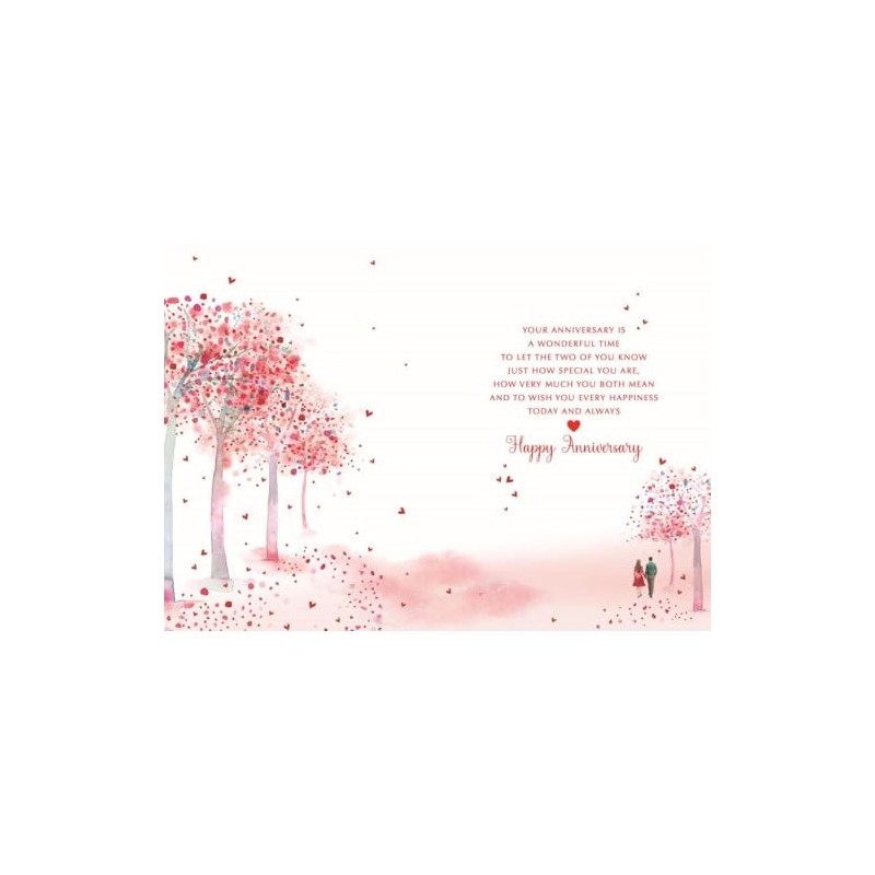 DAUGHTER & SON-IN-LAW Anniversary Card