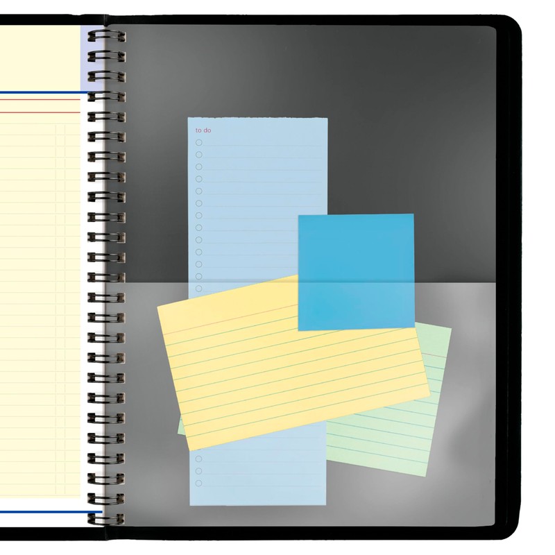 AT-A-GLANCE 2026 Appointment Book Planner, Monthly, 7" x 8-3/4", Medium,