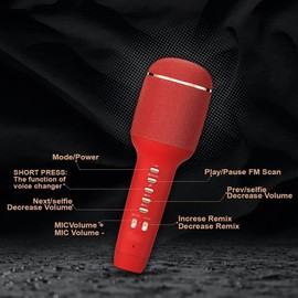 ELLENNE Karaoke Bluetooth Microphone with Speaker for Adults - Voice Change - Dual Wireless Karaoke - Dual WS900 Military Green