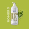 STANHOME FRESCA PIE (El Original de StanHome) (Romero, 300 ML),