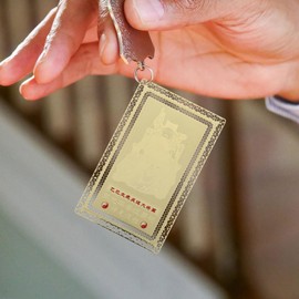 SEWACC General Wu Sui Card 2025 Taisui Card Year of Snake Amulet Card 2025 Lucky Taisui Card Golden Copper