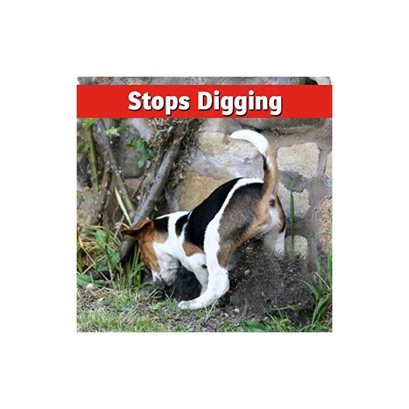 I Must Garden Dog & Cat Repellent - 10lb Granular