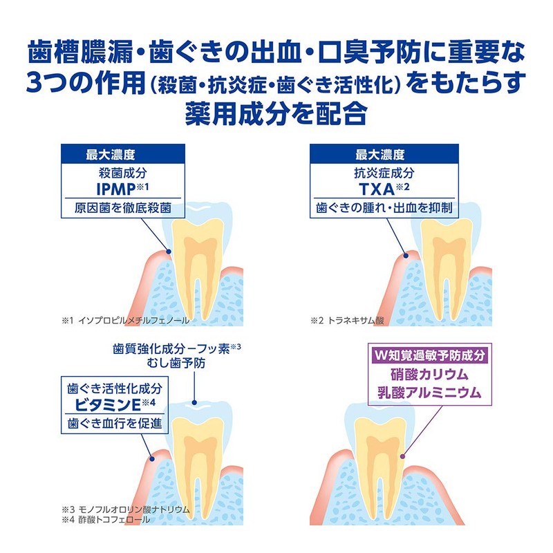 Dent Health [Quasi-Drug] Medicated Toothpaste for Preventing Pyorrhea, Sensitivity Block