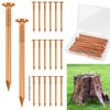 UNIFAMILY 20Pcs Copper Nails for Killing Trees Stump Root, 3.15